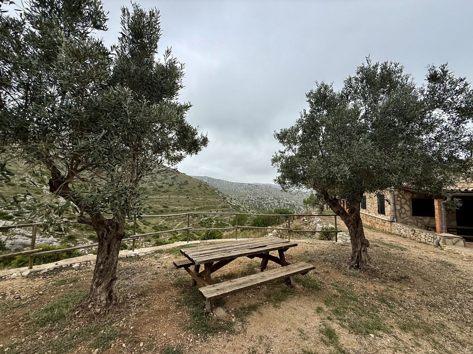Taula entre oliveres davant del refugi, amb les muntanyes al fons