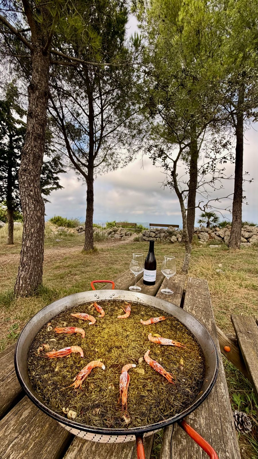 Paella damunt d'una taula al pinar que envolta el refugi
